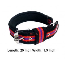 Super Dog Multicolor Padded Collar 1.5 Inch